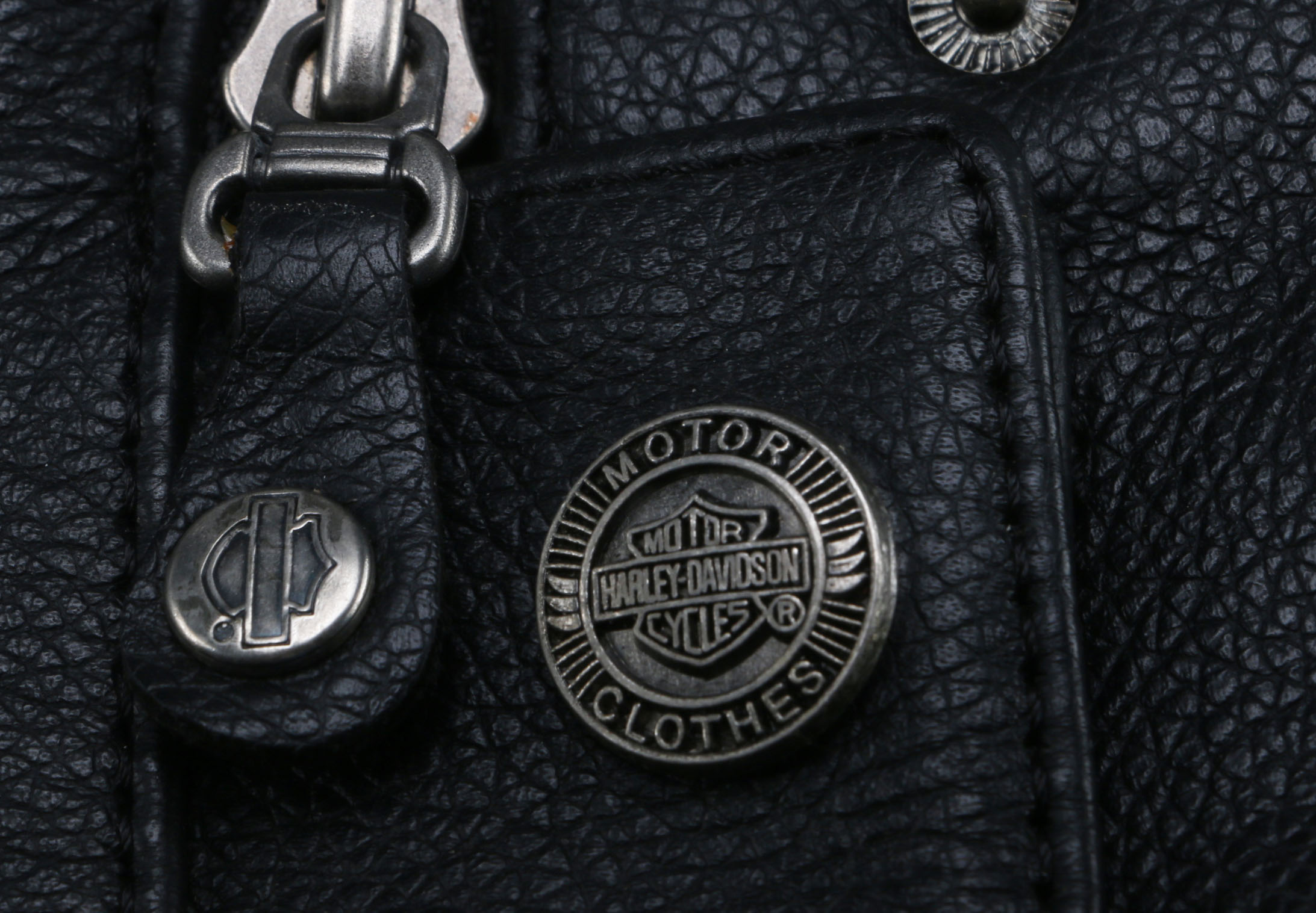 Pair of Harley-Davidson Leather Chaps