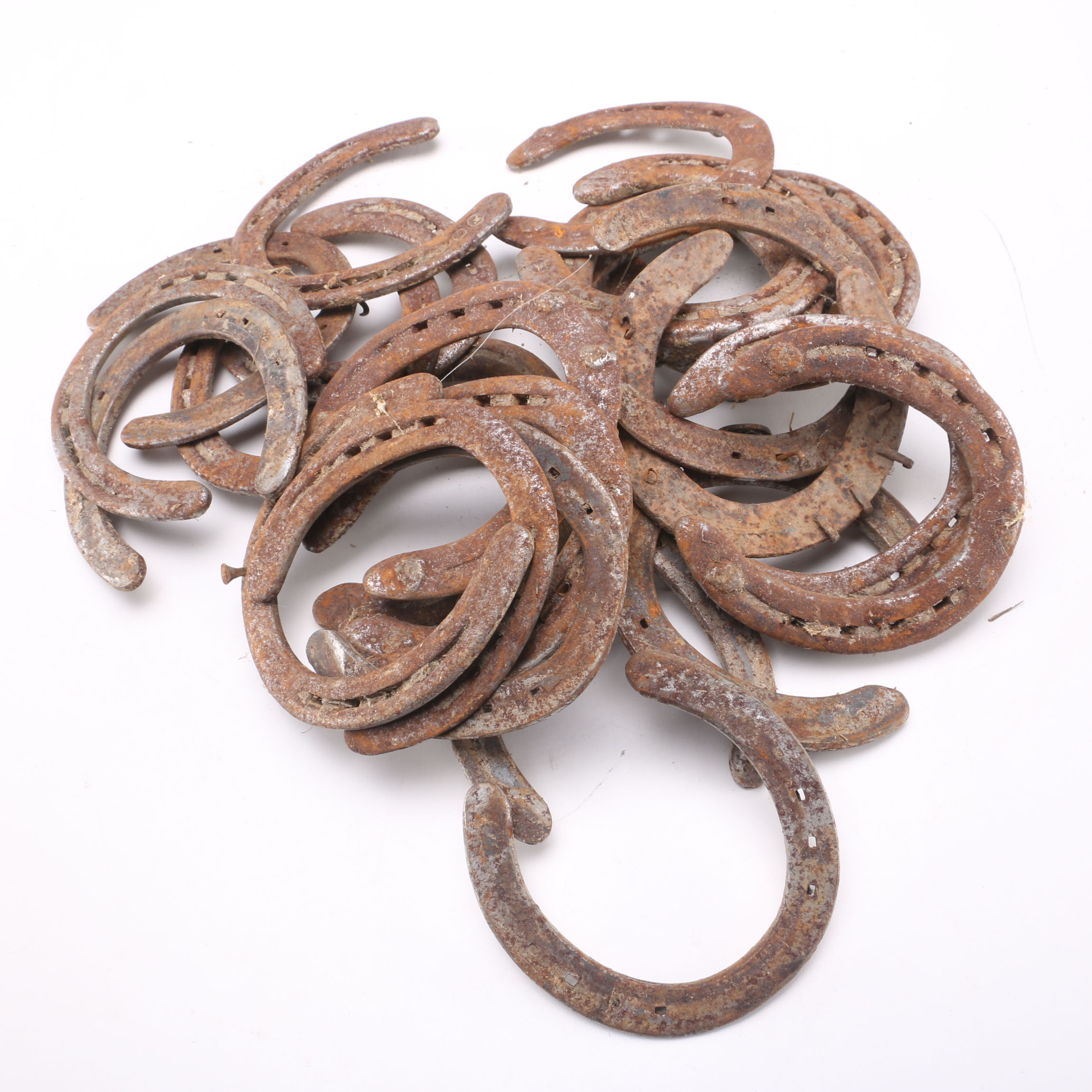 Set of Twenty-Five Horse Shoes