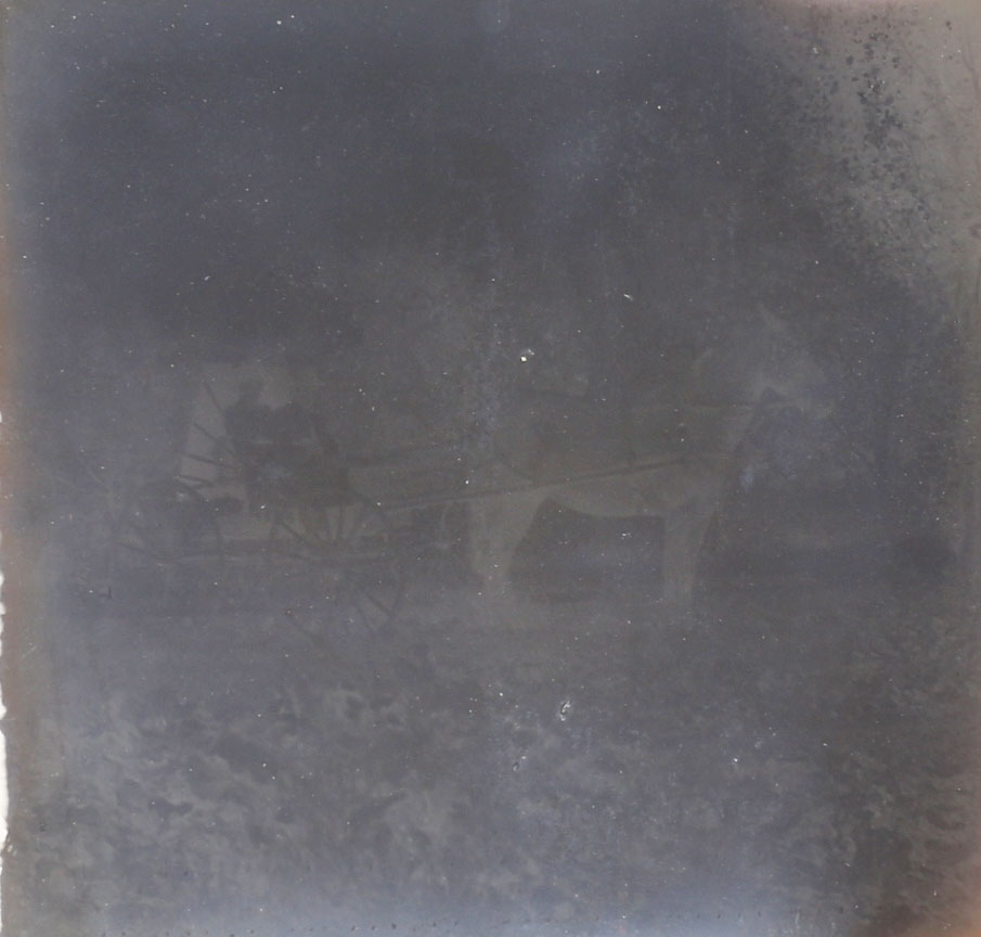 Antique Glass Plate Negatives