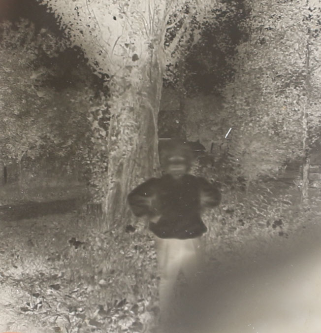 Antique Glass Plate Negatives