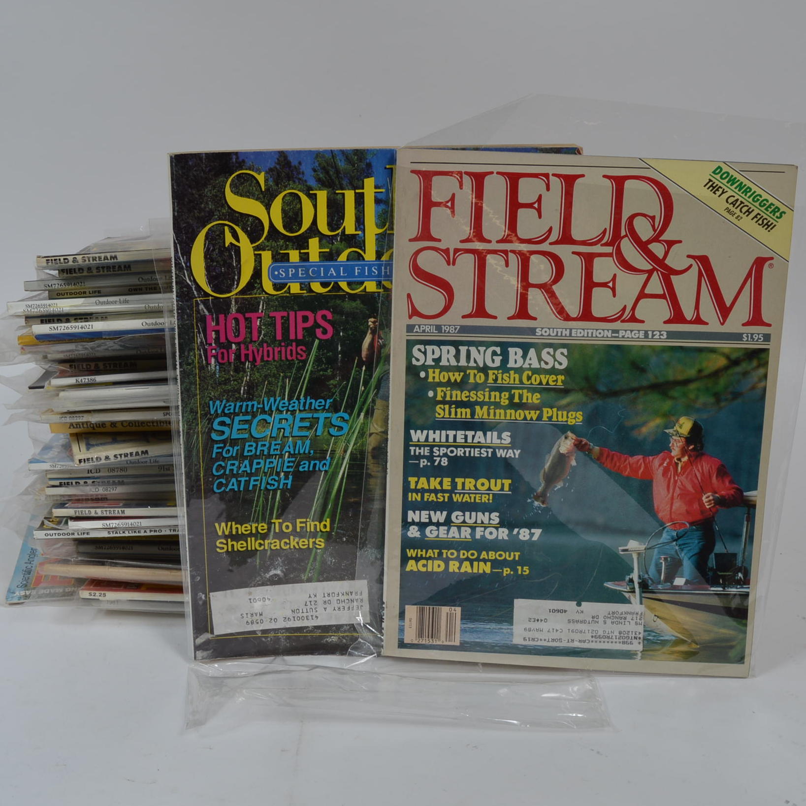 Vintage Fish and Wildlife Magazines