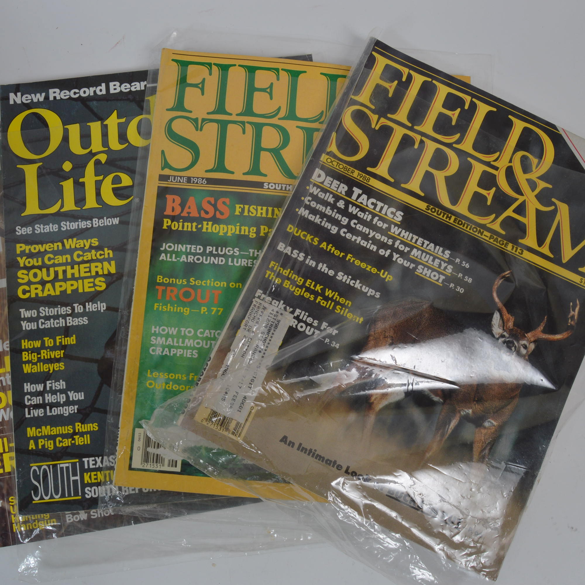 Vintage Fish and Wildlife Magazines