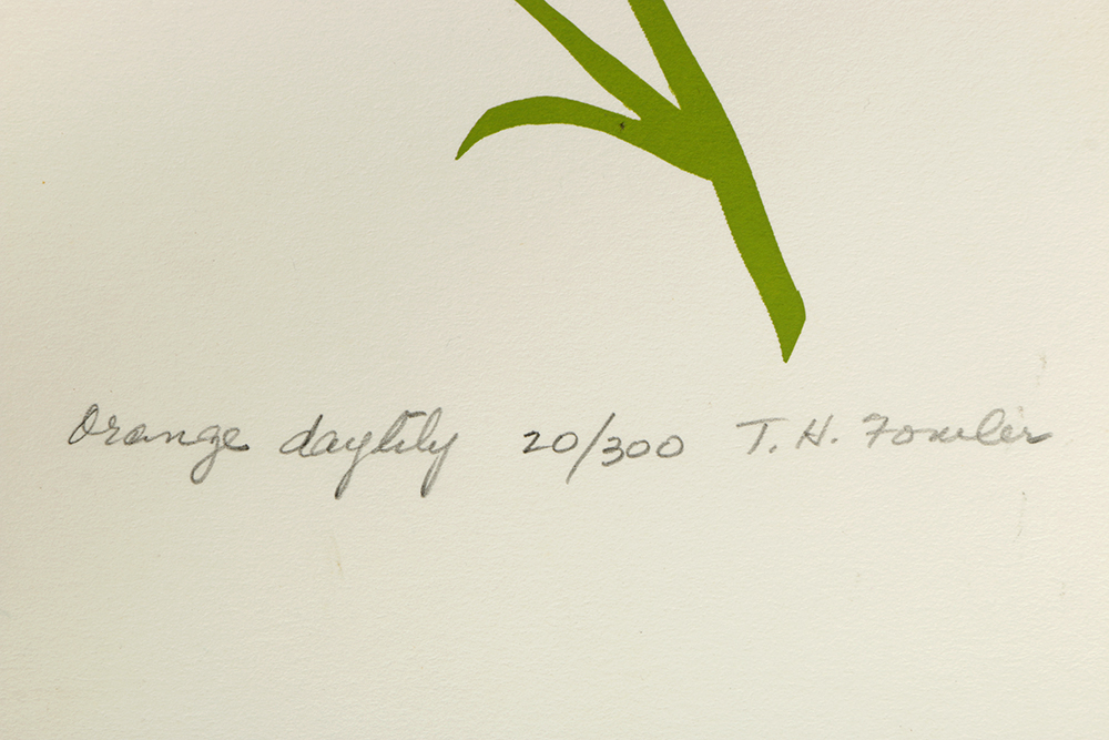 Thelma Fowler Limited Edition Serigraphs "Orange Daylilly" and "Daylilly"