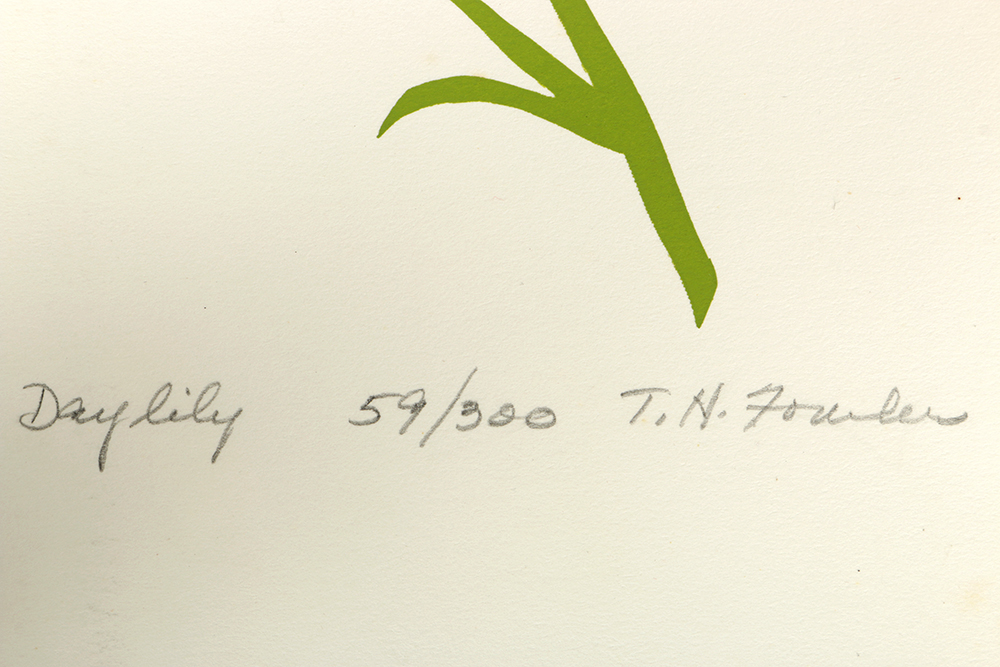 Thelma Fowler Limited Edition Serigraphs "Orange Daylilly" and "Daylilly"