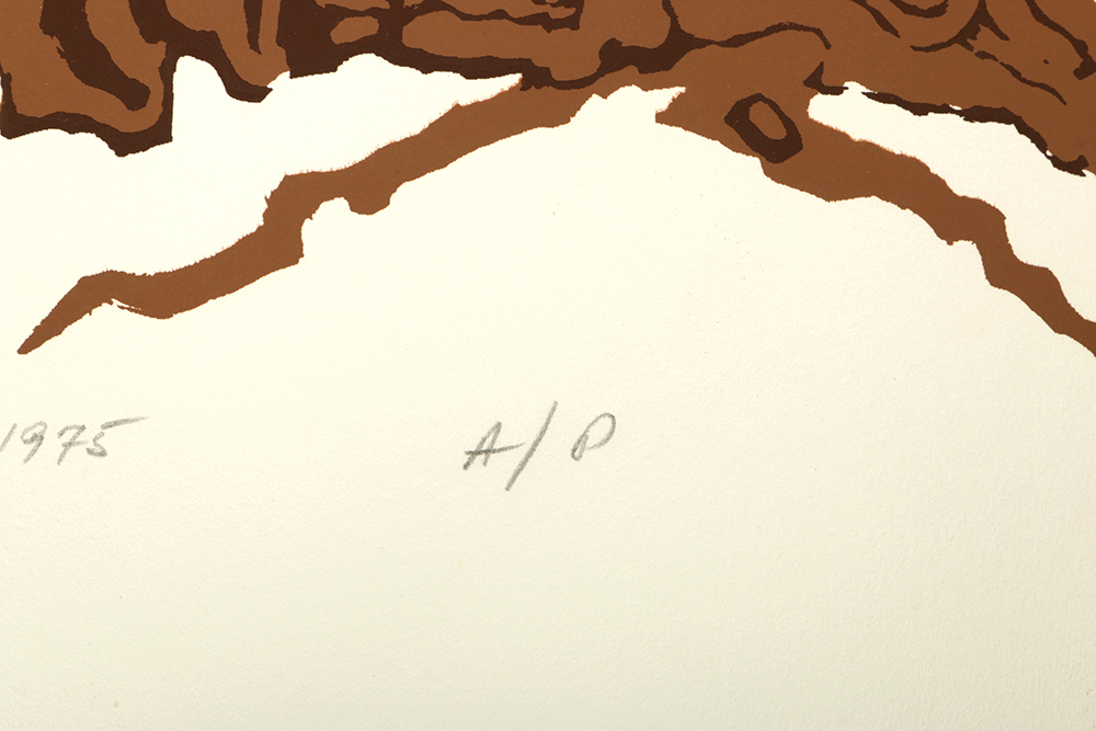 1975 Thelma Fowler Artist Proof Serigraph "Earthbound"