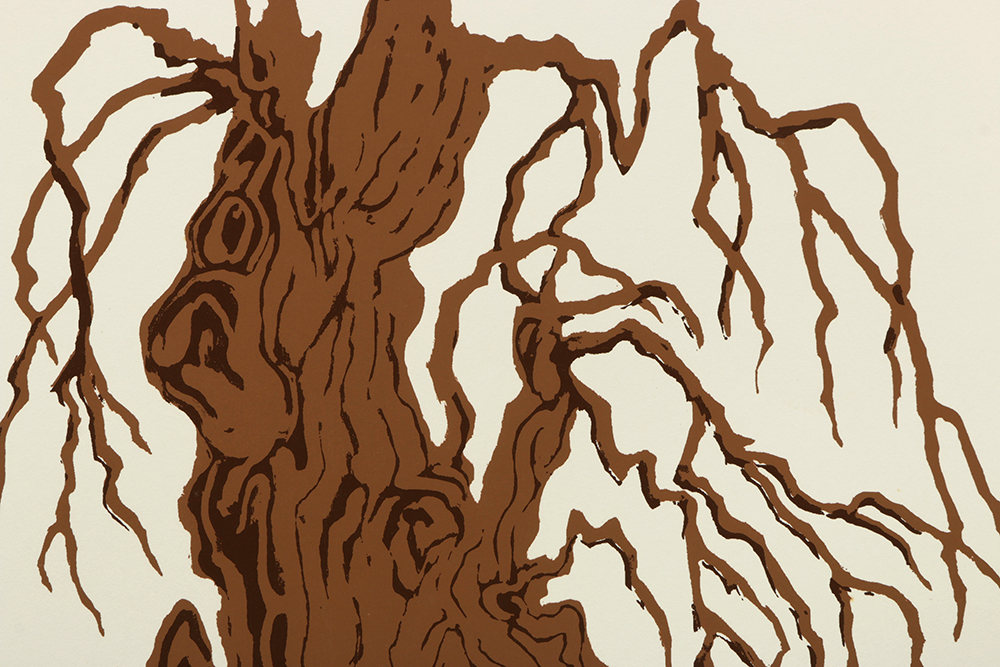 1975 Thelma Fowler Artist Proof Serigraph "Earthbound"