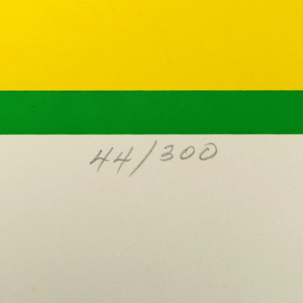 Thelma Fowler Limited Edition Serigraph "Star Fold"