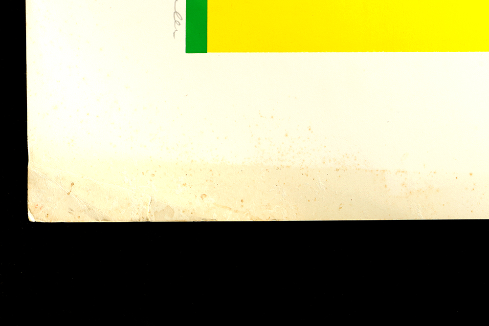 Thelma Fowler Limited Edition Serigraph "Star Fold"