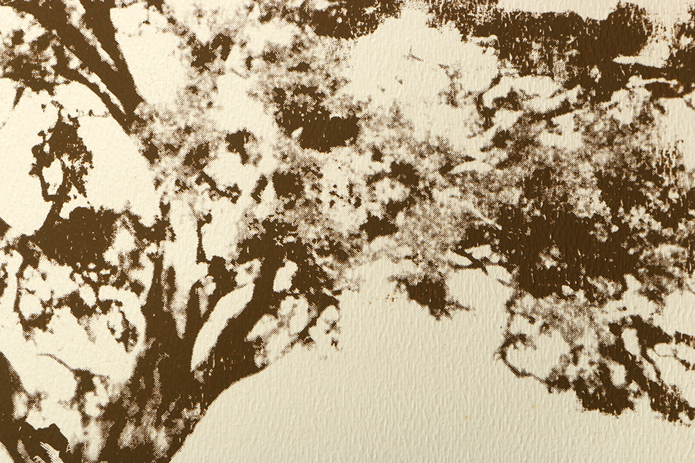 Thelma Fowler Limited Edition Serigraph "Big Oak"