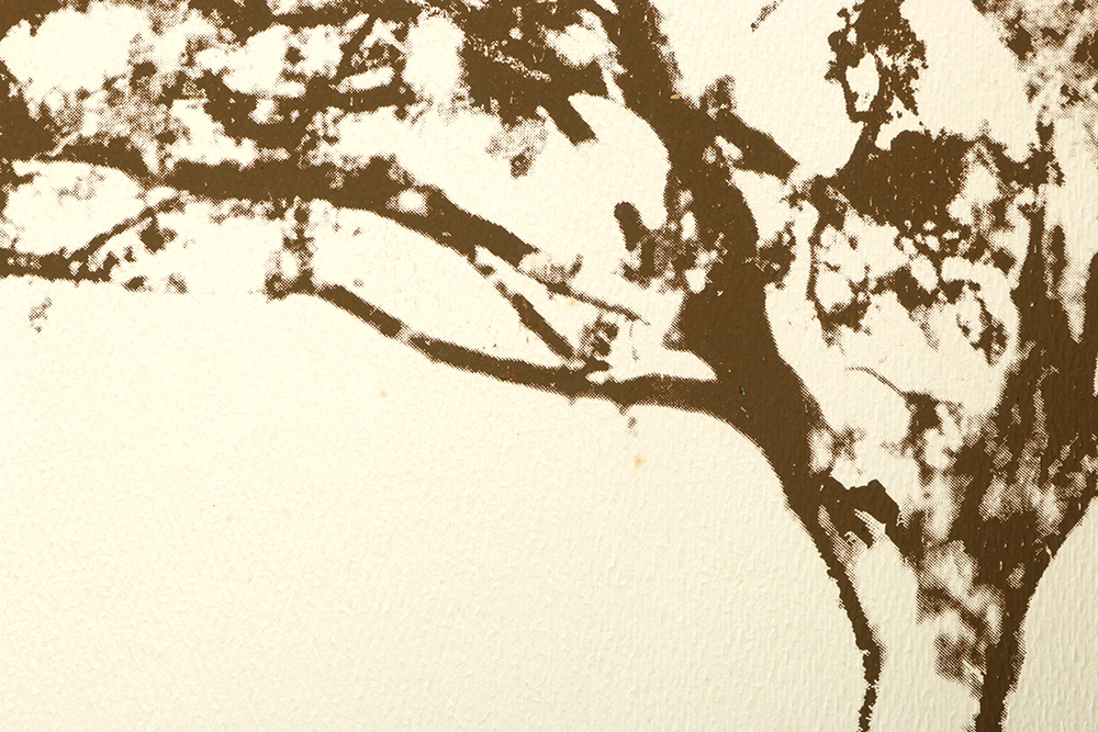 Thelma Fowler Limited Edition Serigraph "Big Oak"