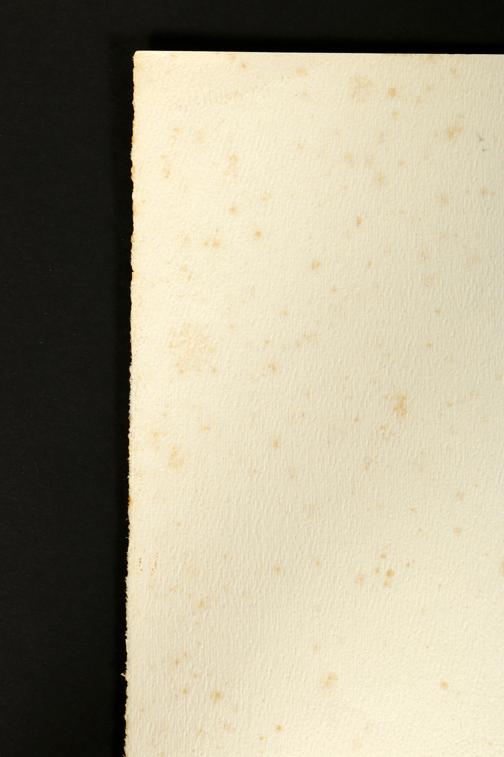 Thelma Fowler Limited Edition Serigraph "Big Oak"