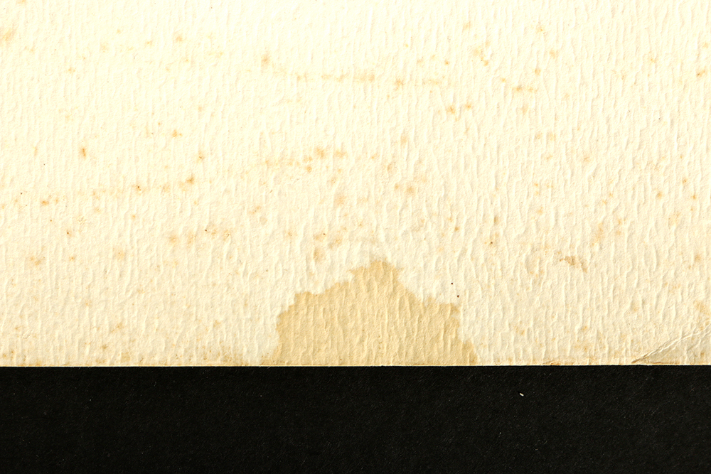 Thelma Fowler Limited Edition Serigraph "Big Oak"