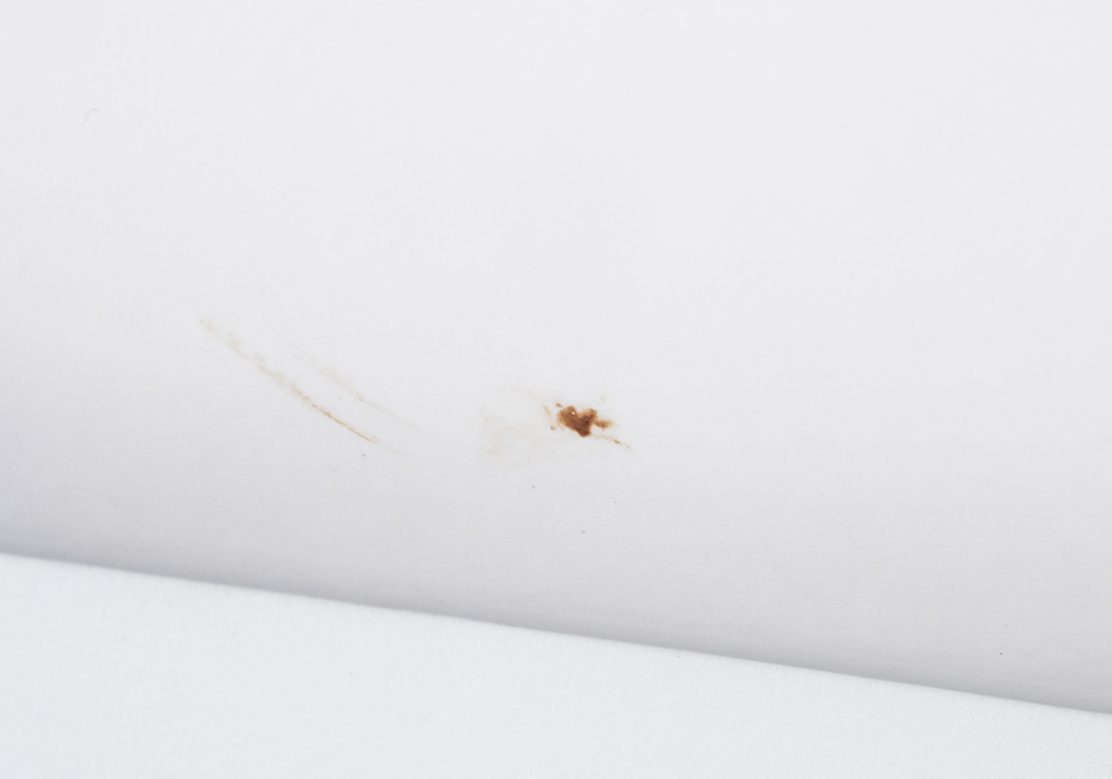 Defossez Signed Limited Edition Lithograph