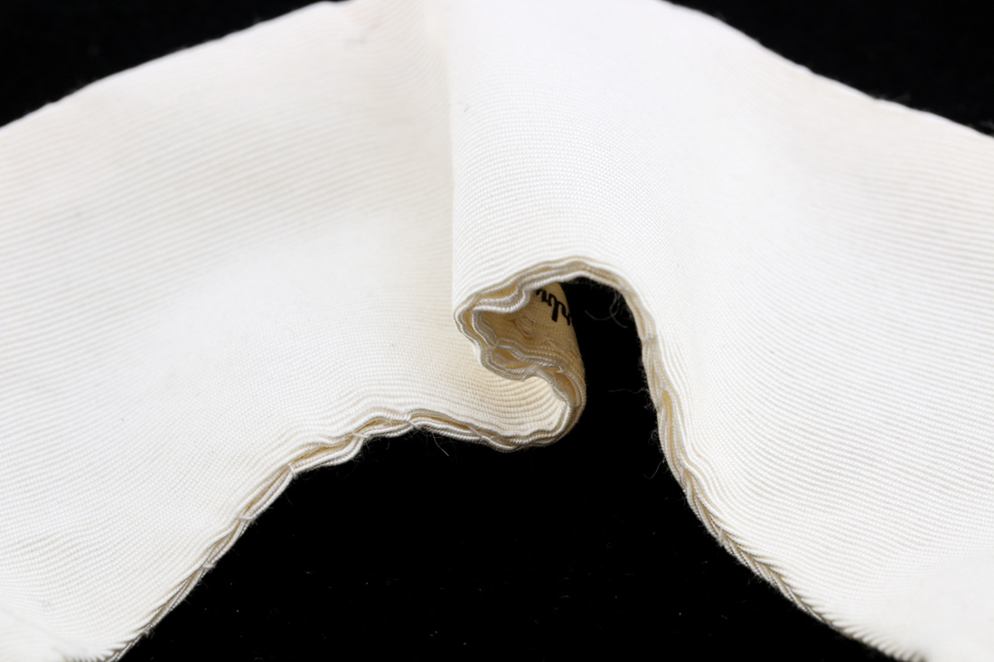 Emily Wetherby Shirt Collar