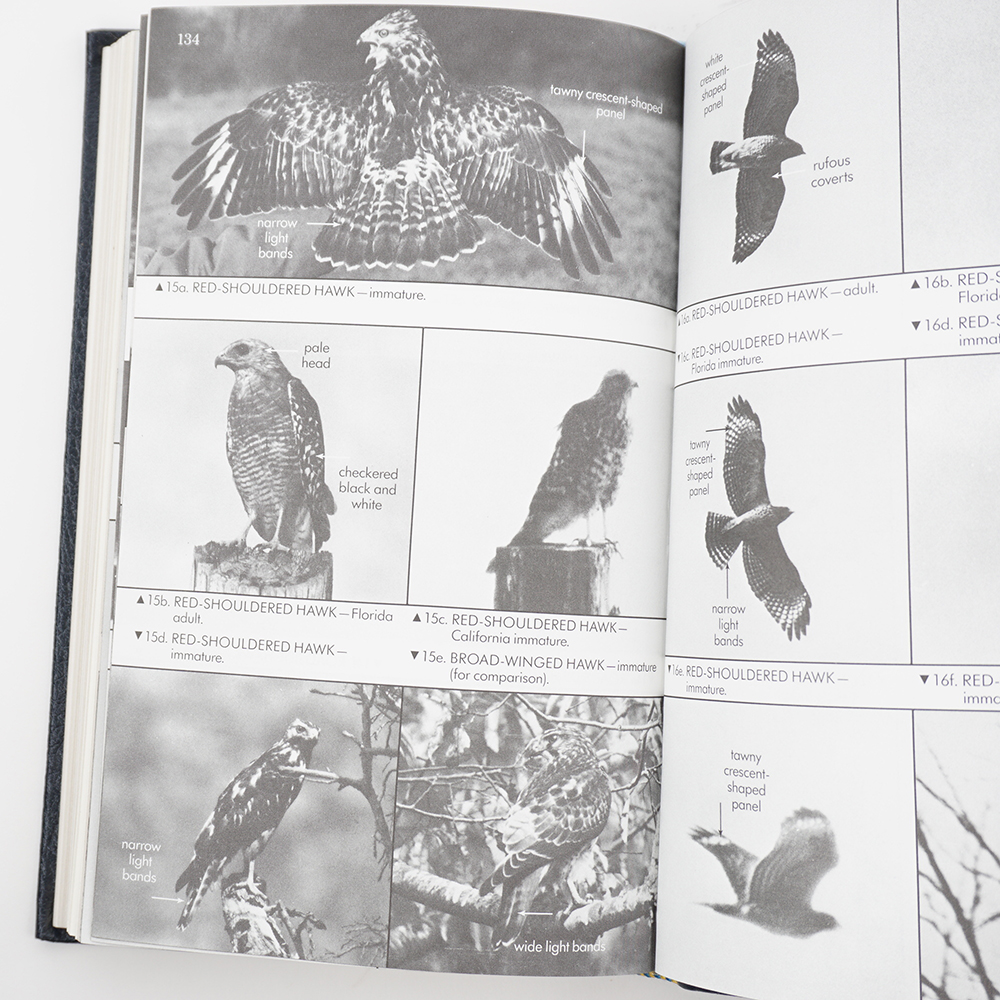 Three Leather Bound Roger Tory Peterson Field Guides