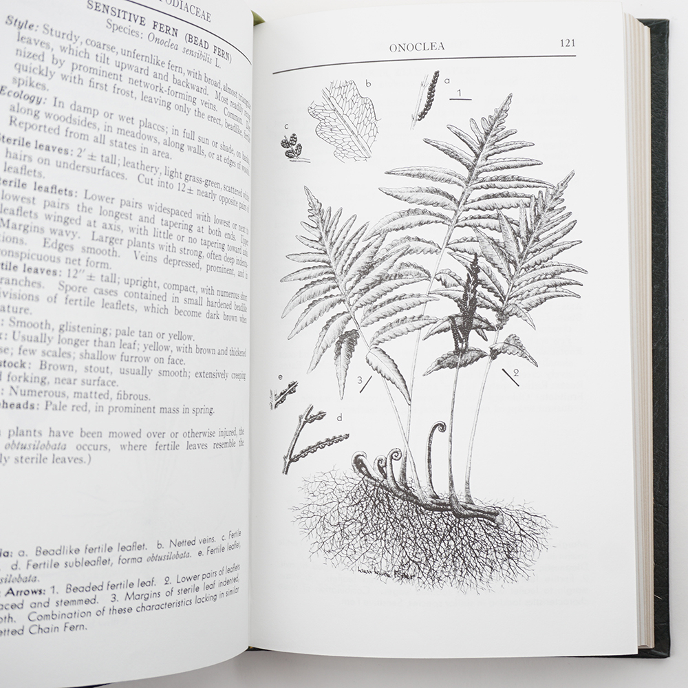 Three Leather Bound Roger Tory Peterson Field Guides