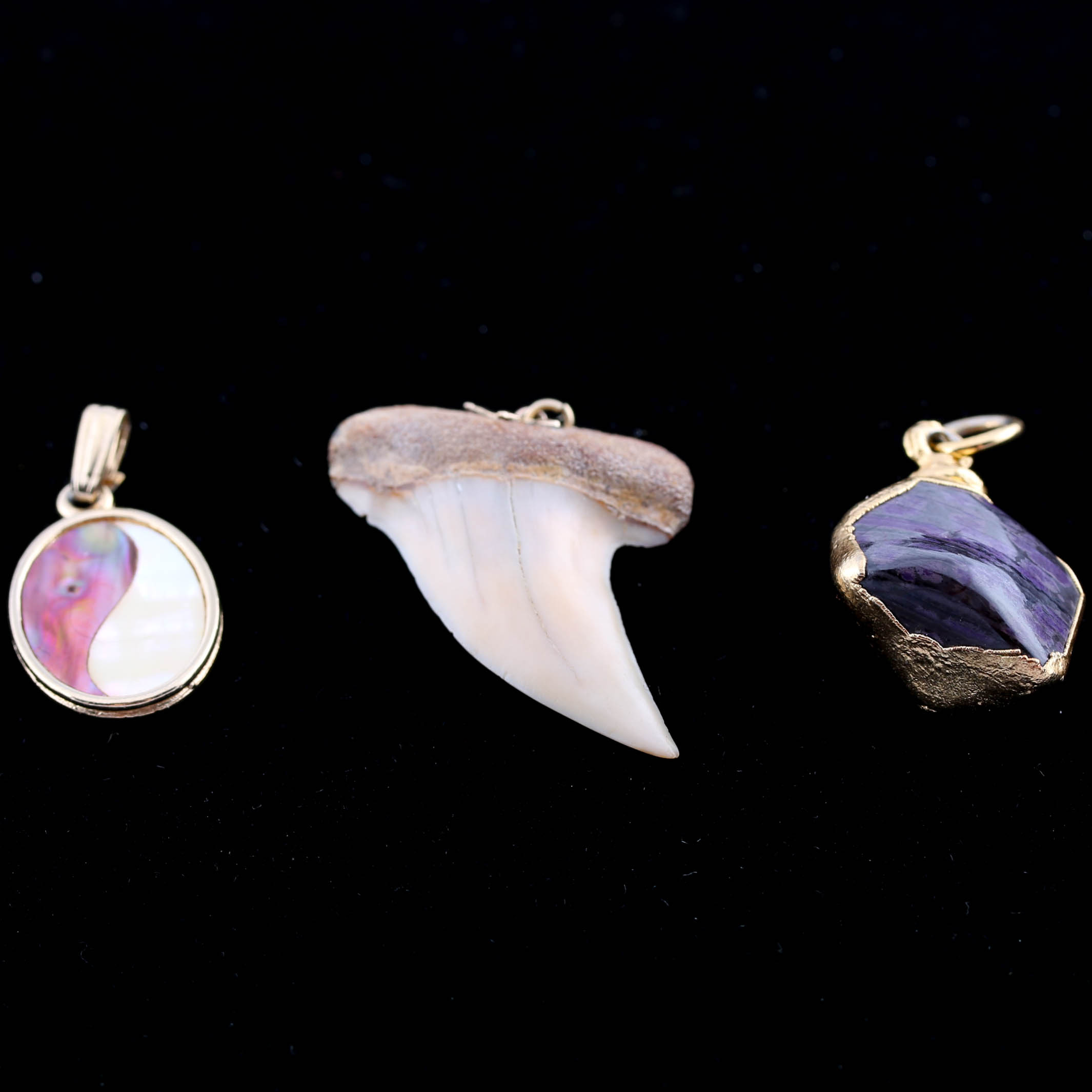 Shark Tooth, Shell, and Stone Pendants