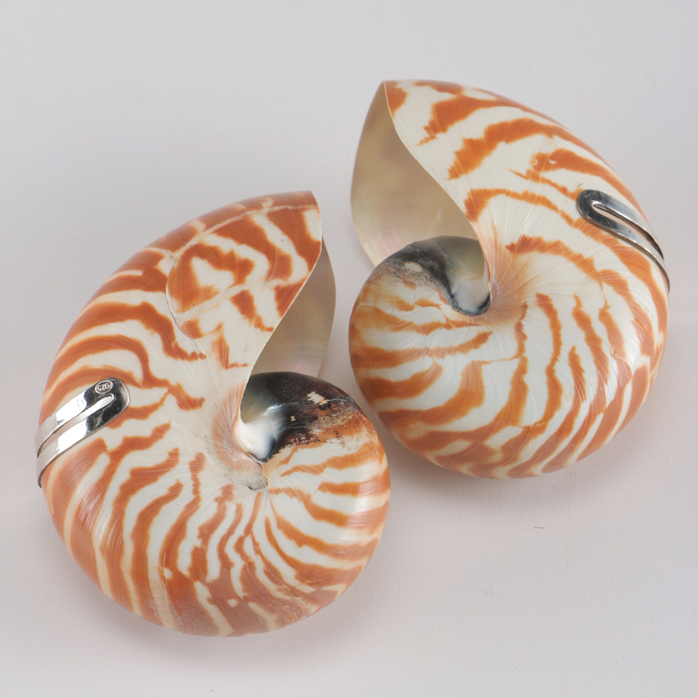 Pair of Nautilus Shell and Sterling Silver Place Card Holders