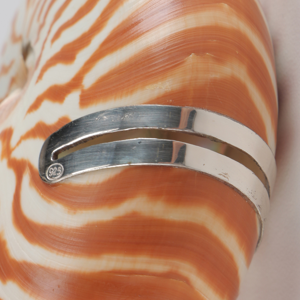 Pair of Nautilus Shell and Sterling Silver Place Card Holders