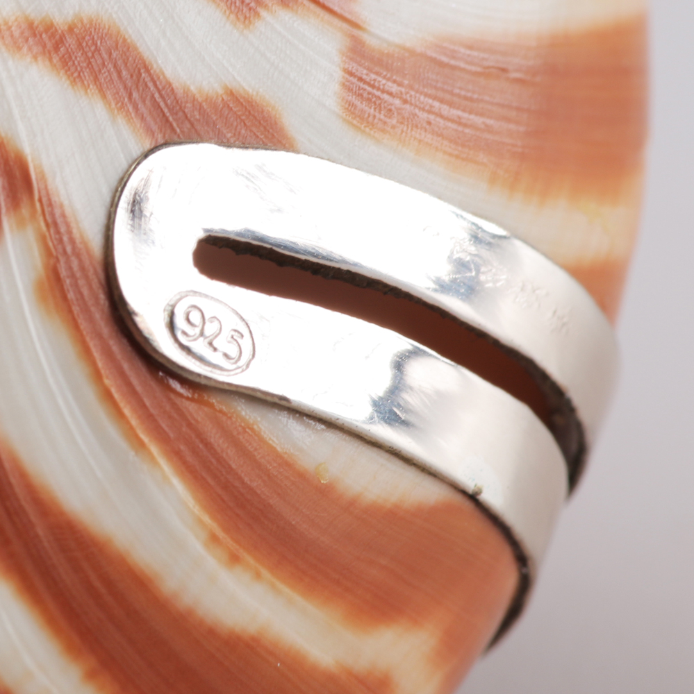 Pair of Nautilus Shell and Sterling Silver Place Card Holders