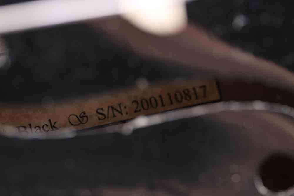 Cecilio Viola with Travel Case