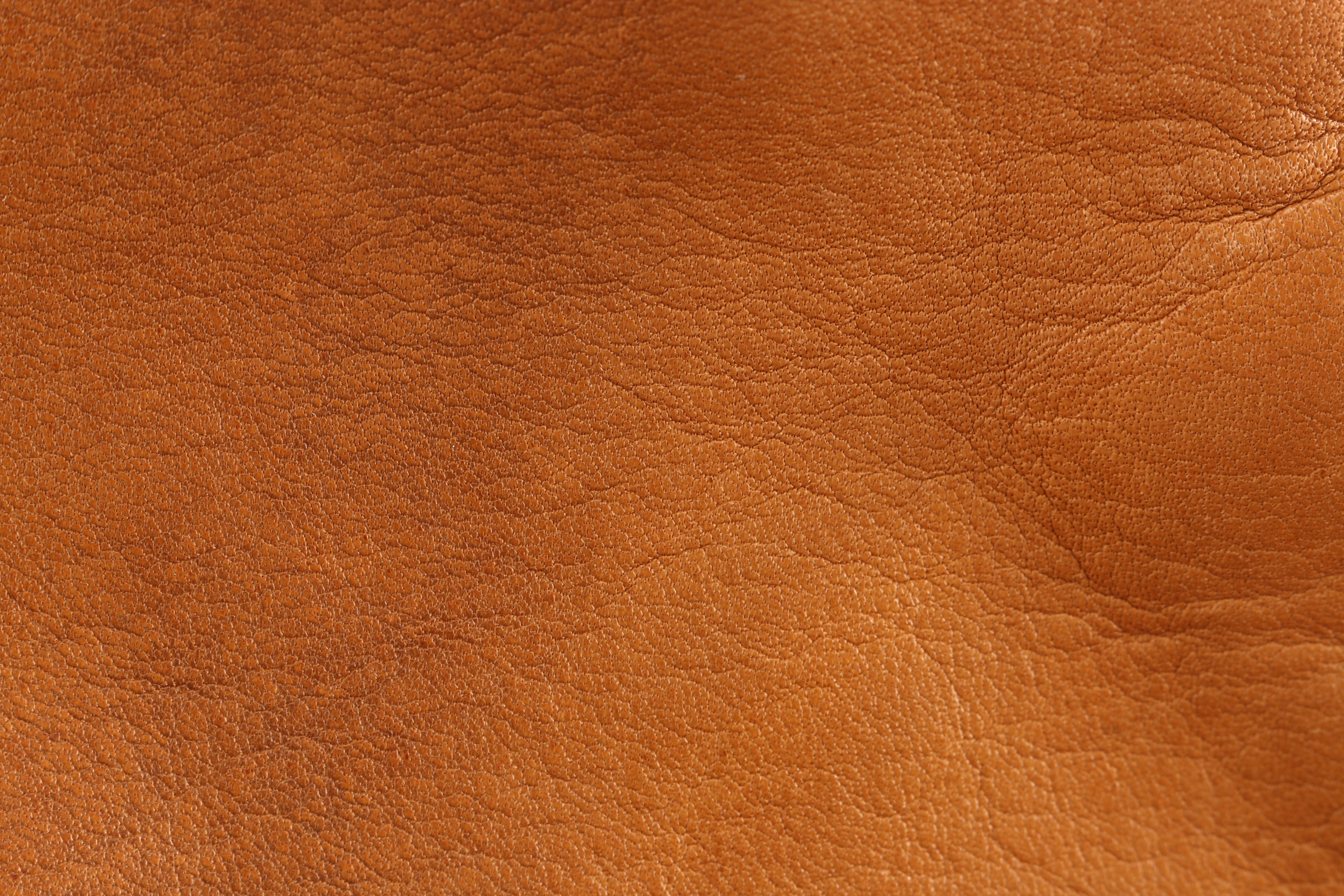 Tignanello Shoulder Bag