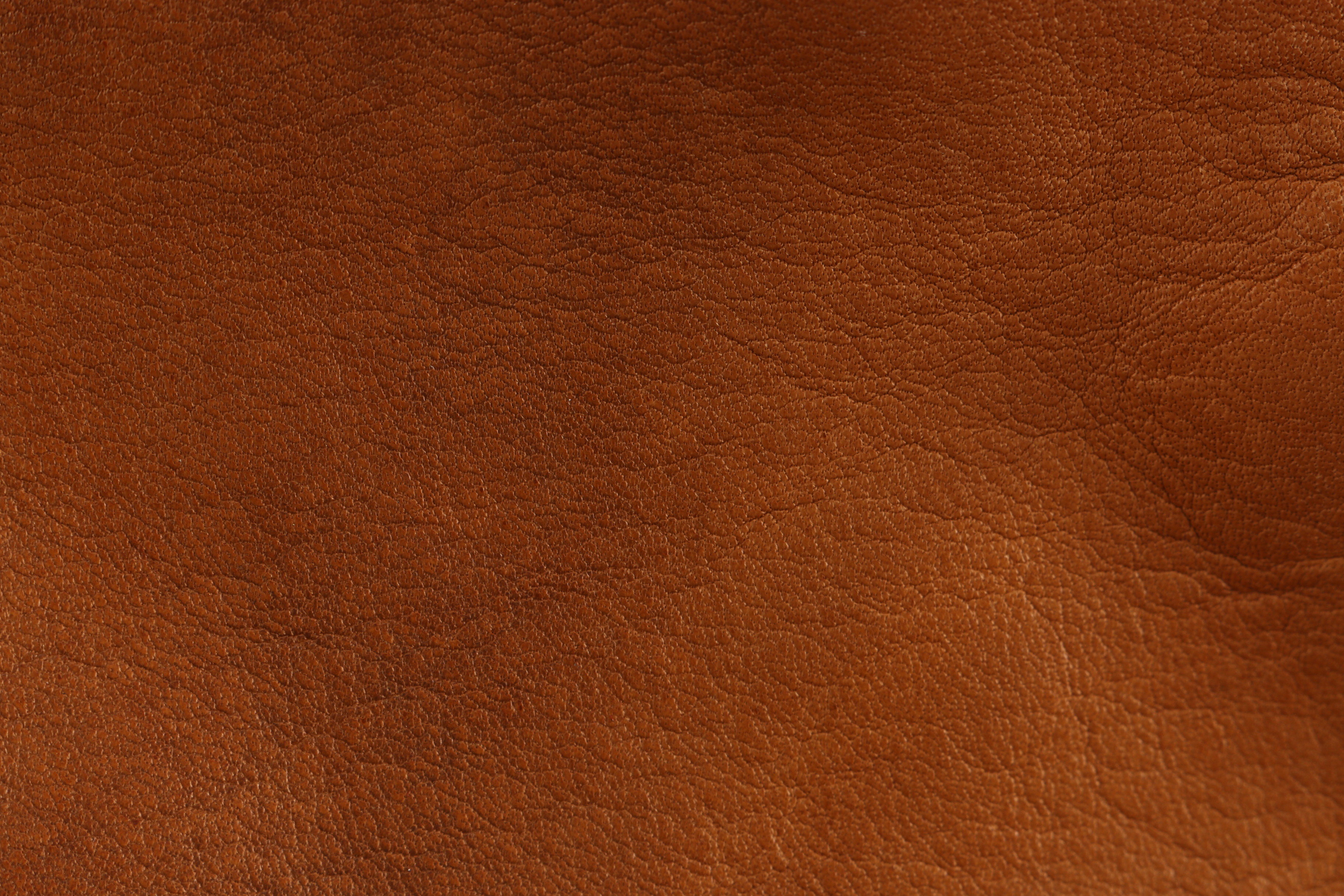 Tignanello Shoulder Bag