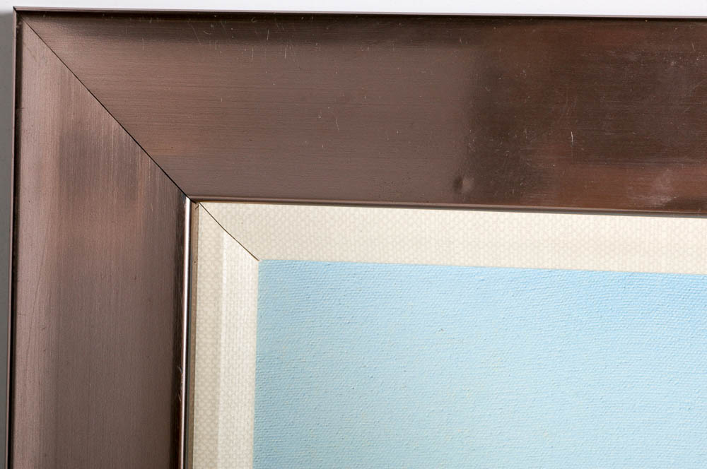 Framed Panoramic Ocean Painting