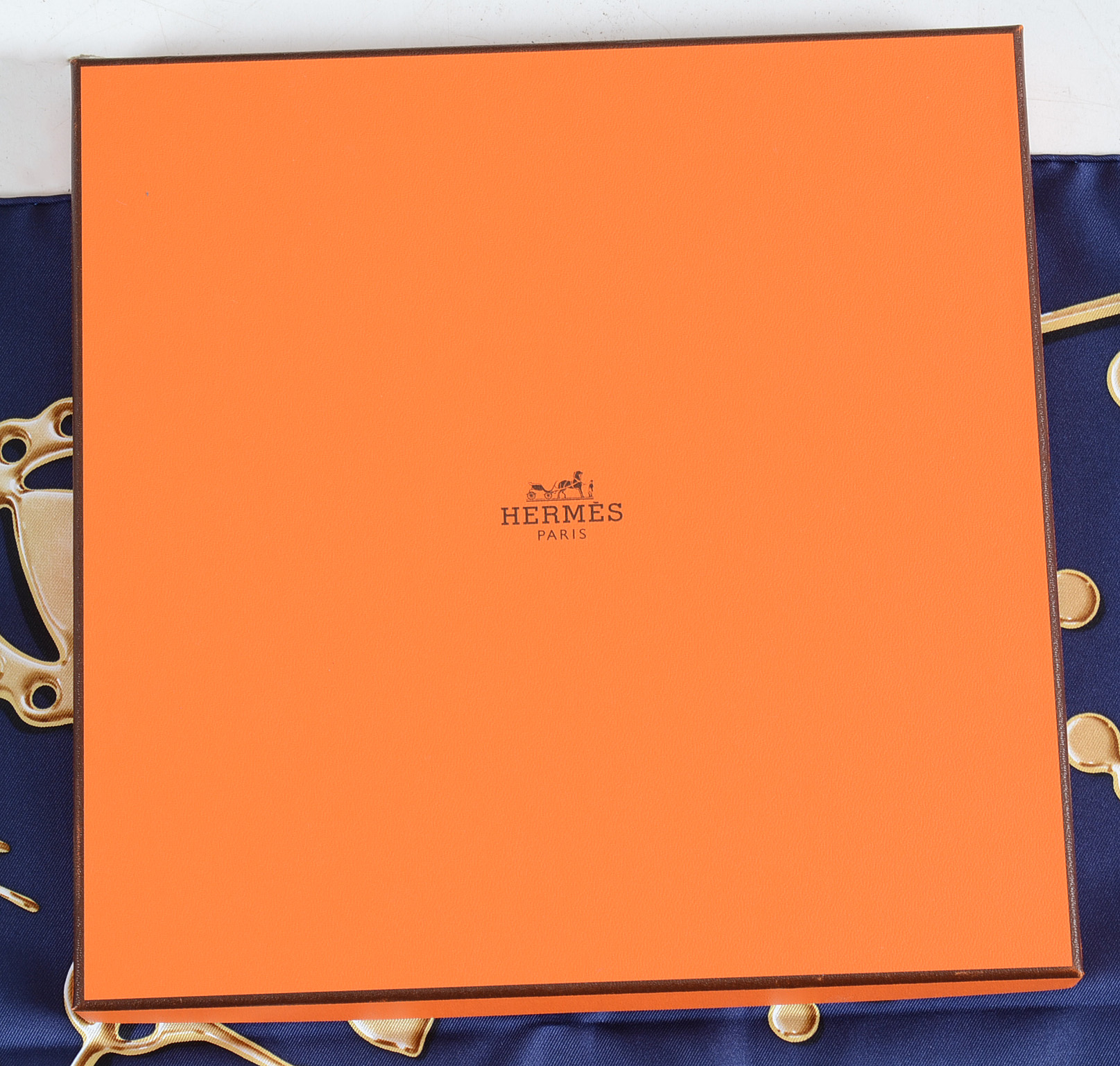 Hermès "Cheval Fusion" Silk Scarf