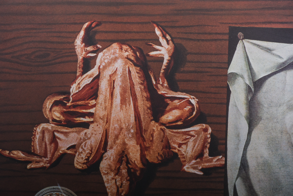 Dali Signed Limited Edition Photo Lithograph Print "Les spoutniks astiques élasticots statistiques"