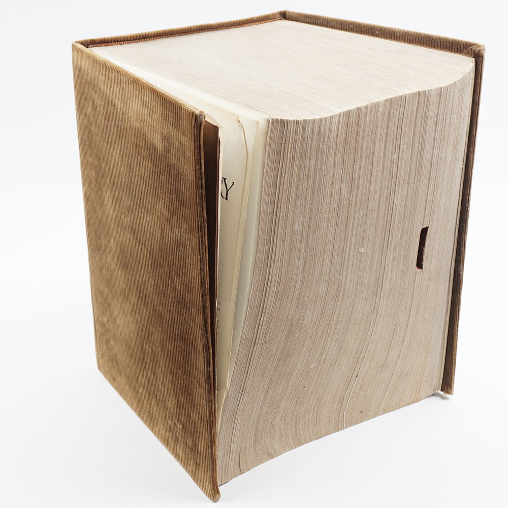 1914 "The Century Dictionary, an Encyclopedic Lexicon of the English Language" Ten Volumes in One