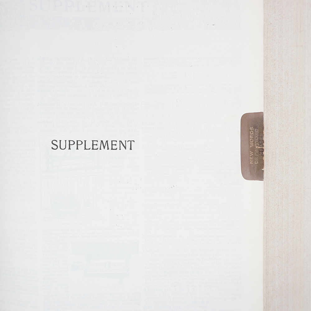 1914 "The Century Dictionary, an Encyclopedic Lexicon of the English Language" Ten Volumes in One