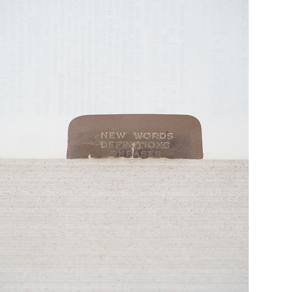 1914 "The Century Dictionary, an Encyclopedic Lexicon of the English Language" Ten Volumes in One