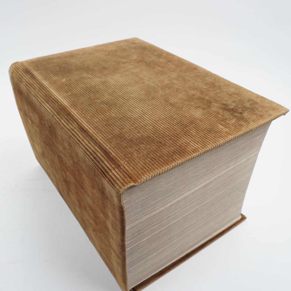 1914 "The Century Dictionary, an Encyclopedic Lexicon of the English Language" Ten Volumes in One