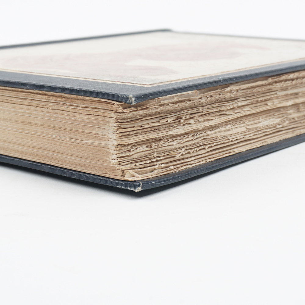 First Edition "A Golden Treasury of Songs and Lyrics" Illustrated in Color by Maxfield Parrish