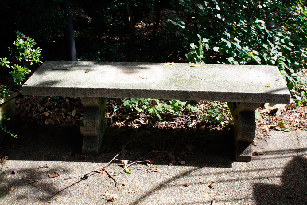 Pair of Low Concrete Benches