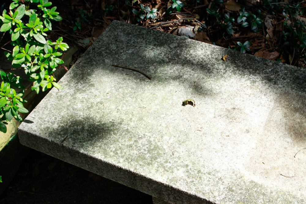 Pair of Low Concrete Benches