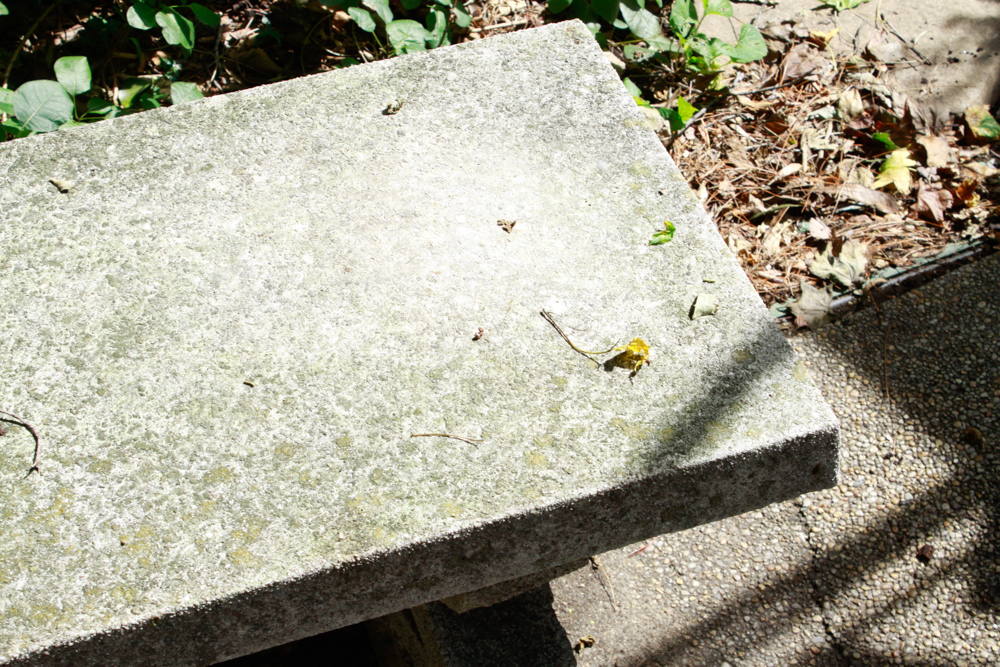 Pair of Low Concrete Benches