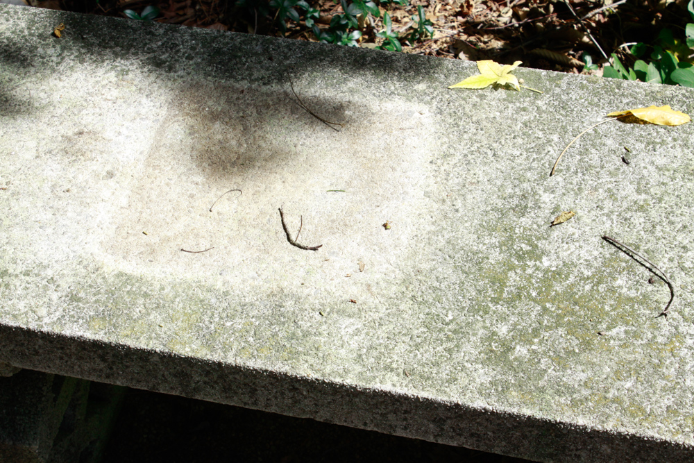 Pair of Low Concrete Benches