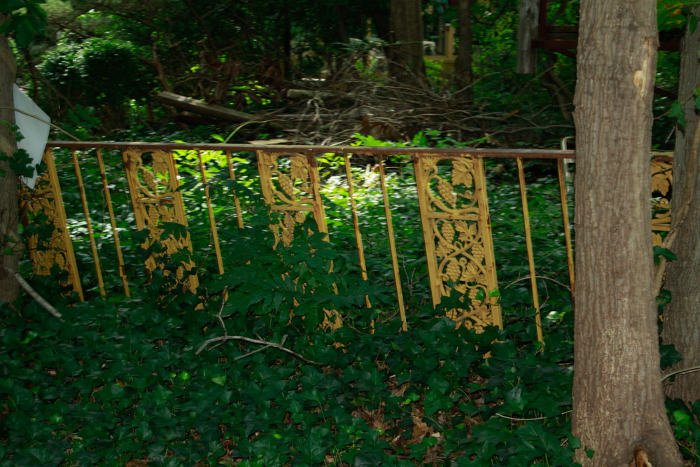 Wrought Iron Fencing