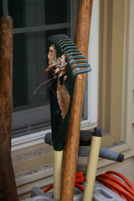 Lawn and Garden Tools with Plastic Organizing Stand