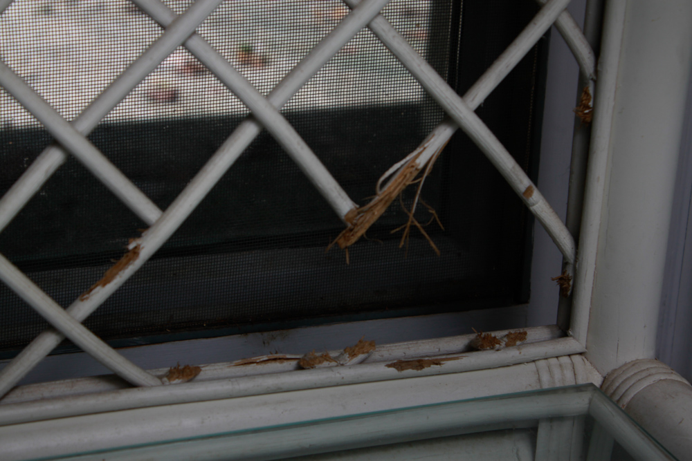 Vintage Rattan Display Shelves