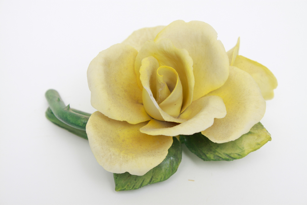 Collection of Napoleon Capodimonte Porcelain Flowers