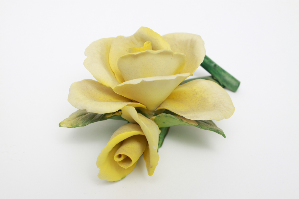 Collection of Napoleon Capodimonte Porcelain Flowers