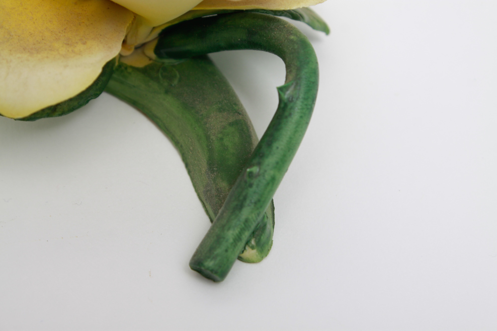 Collection of Napoleon Capodimonte Porcelain Flowers