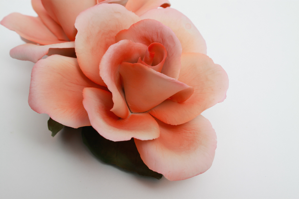 Collection of Napoleon Capodimonte Porcelain Flowers