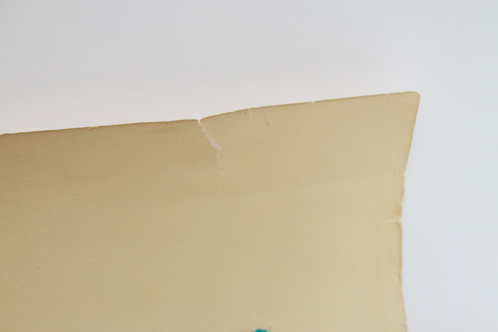 Unframed Project Renewal K'Tubat Emunim Document