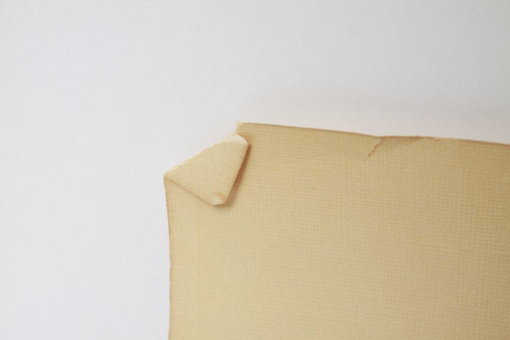 Unframed Project Renewal K'Tubat Emunim Document