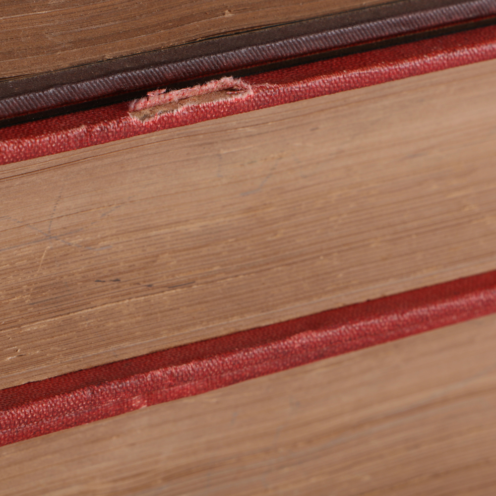 Set of German "Die Hobenzollern Und Das Reid" Books