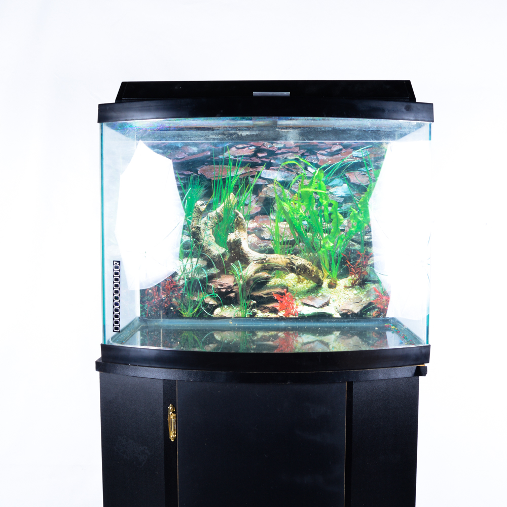 "All-Glass Aquarium" with Storage Stand